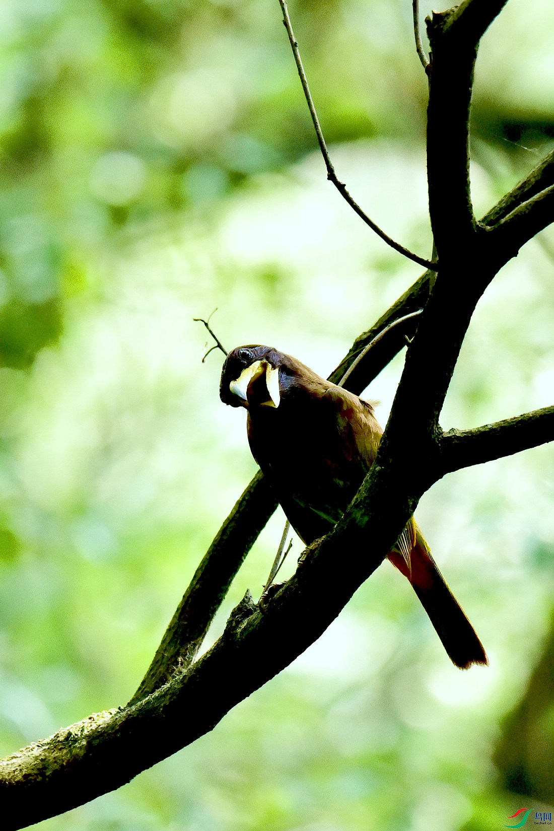 DSC_0975.JPG