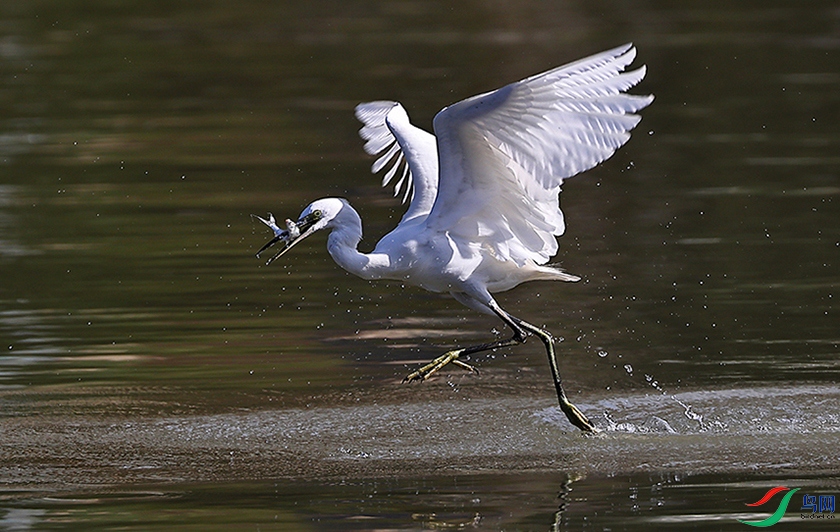 ����������ʫ��