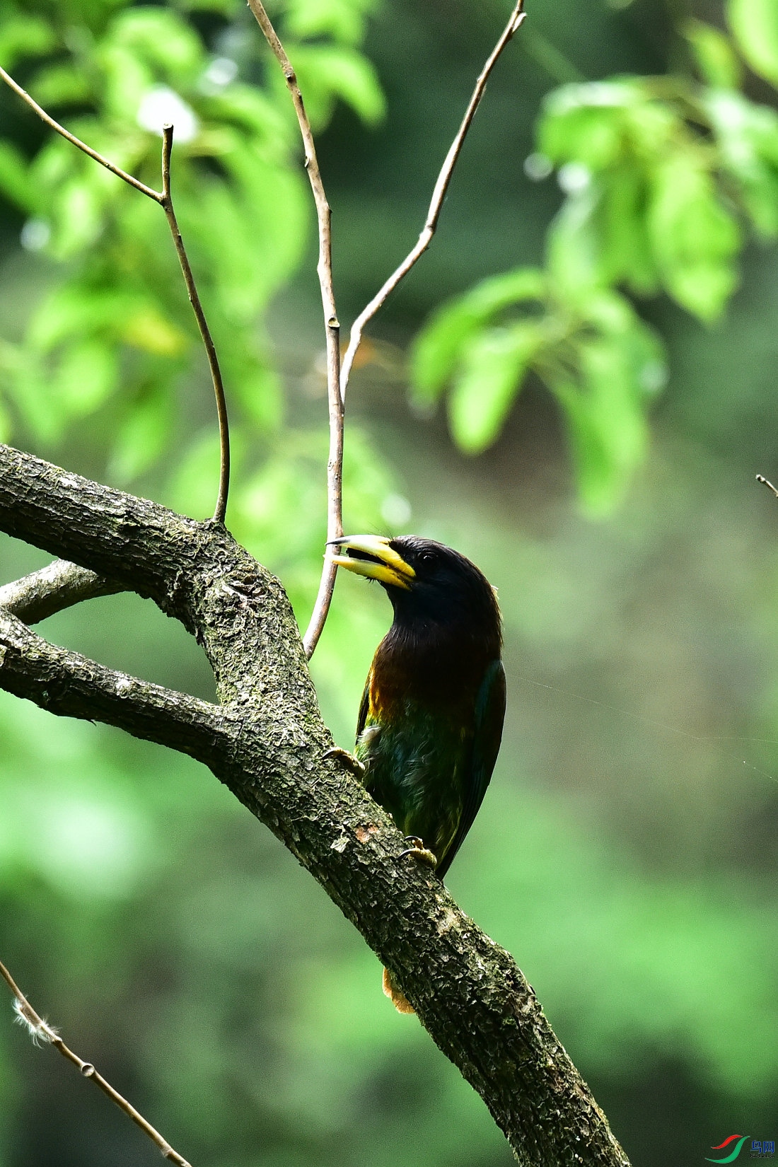 DSC_0978.JPG