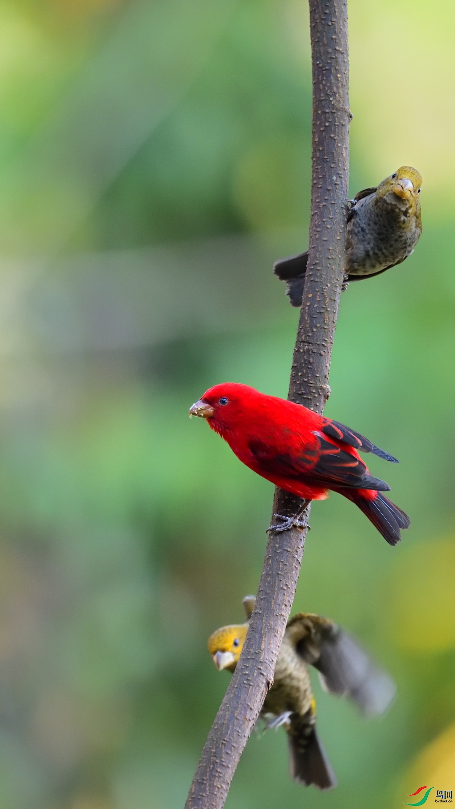 DSC_3876_00001.jpg