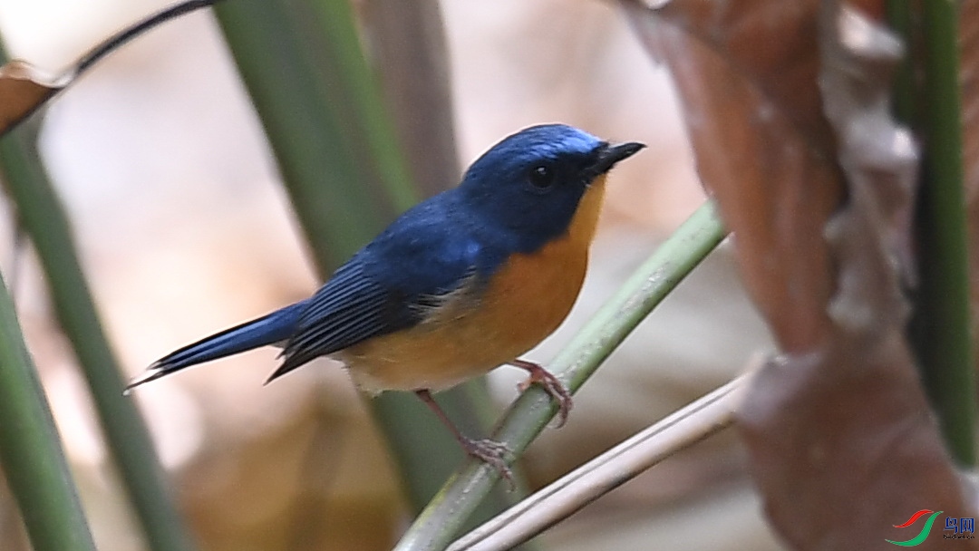 DSC_2856.JPG