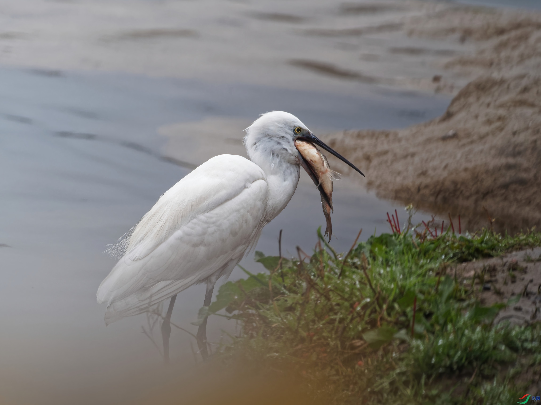 P2280047_DxO-d2.jpg