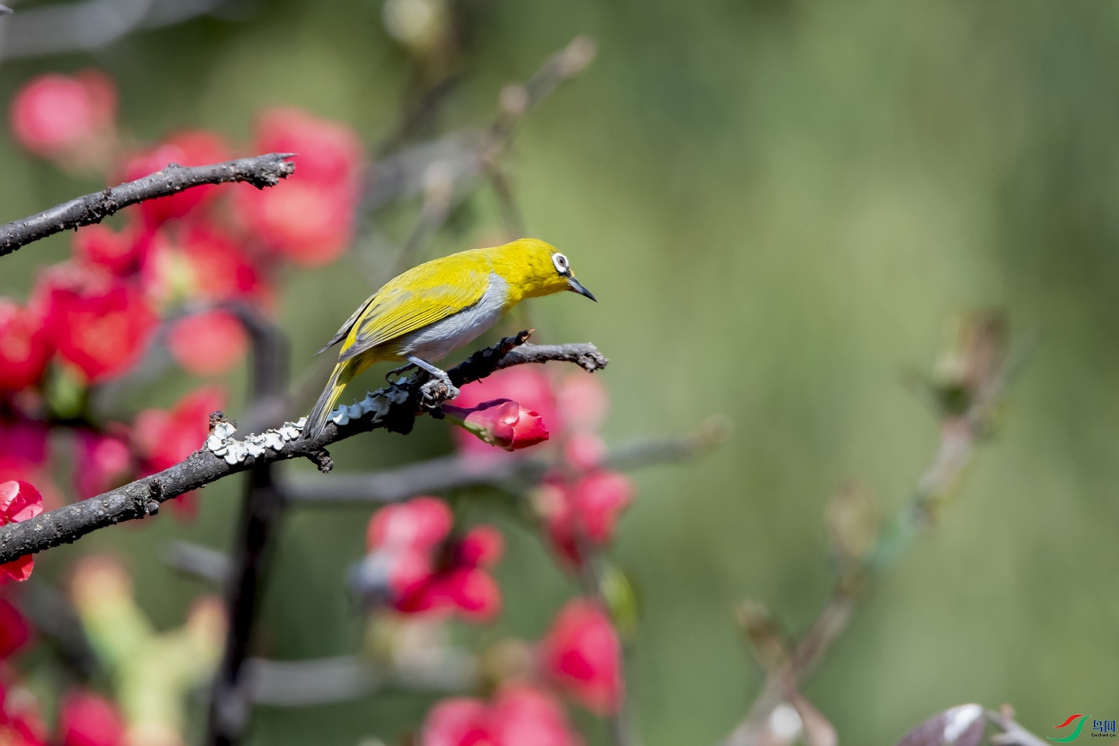 _DSC6316a.jpg
