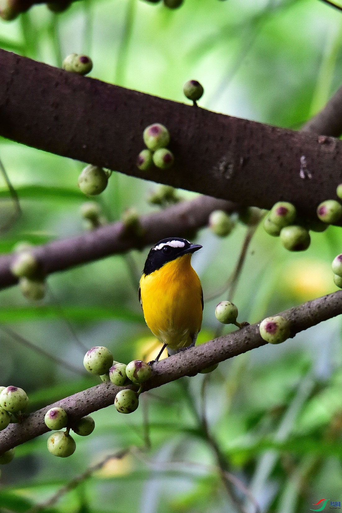 DSC_0782.JPG