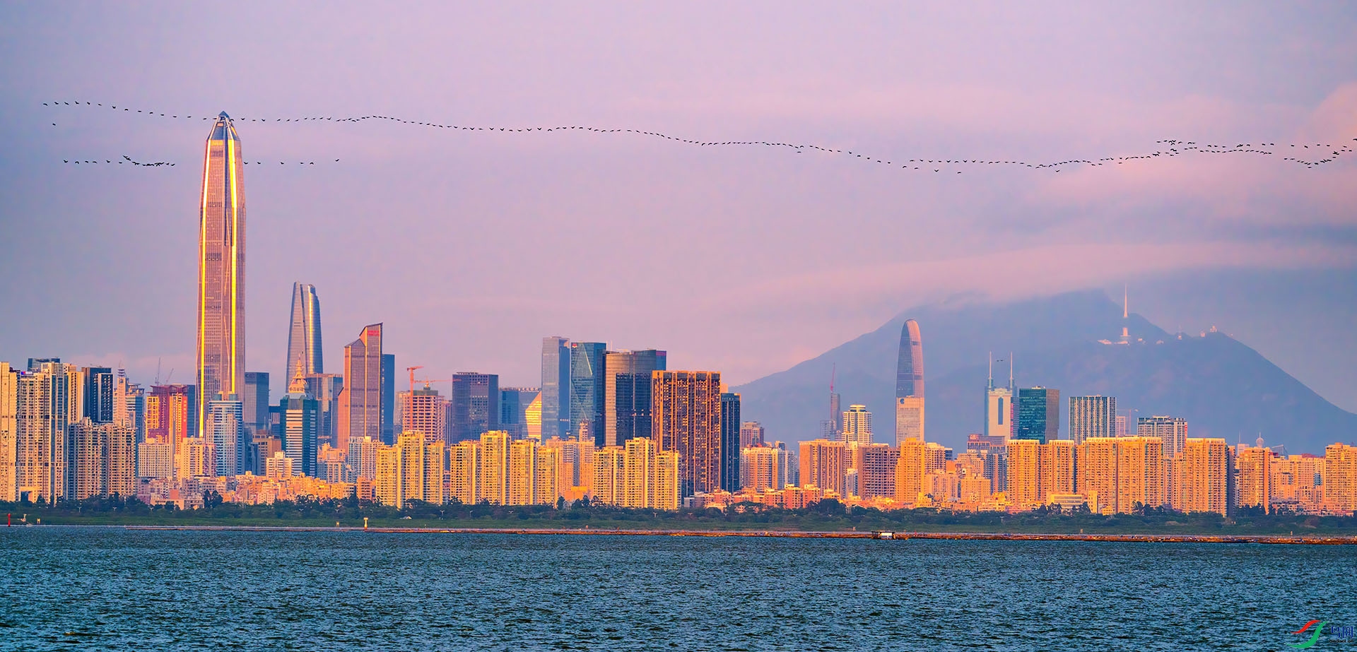 �����幫԰�Ͽյ����