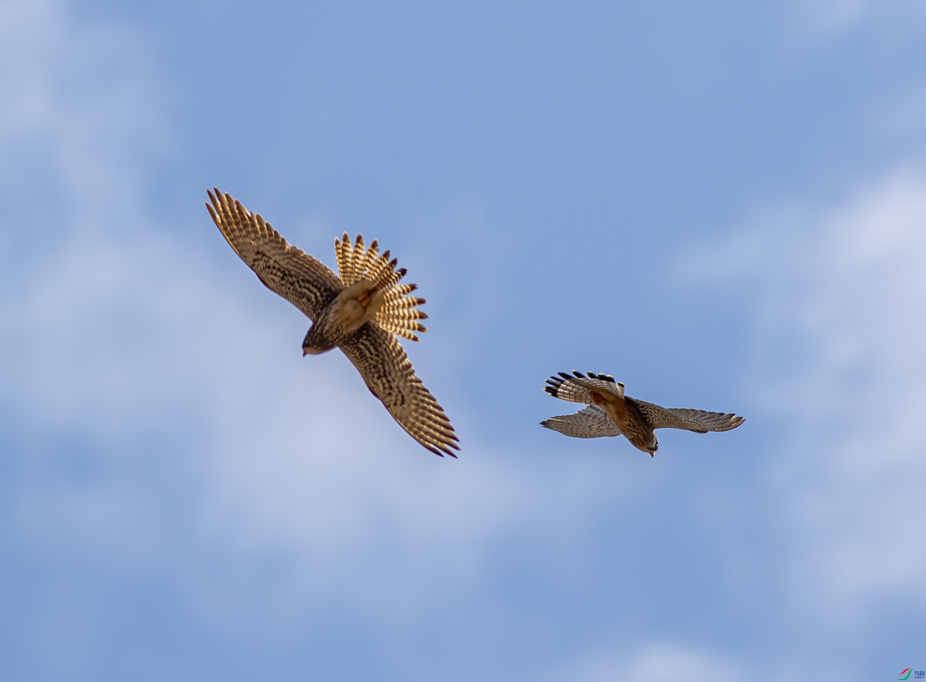 K7D07237.jpg