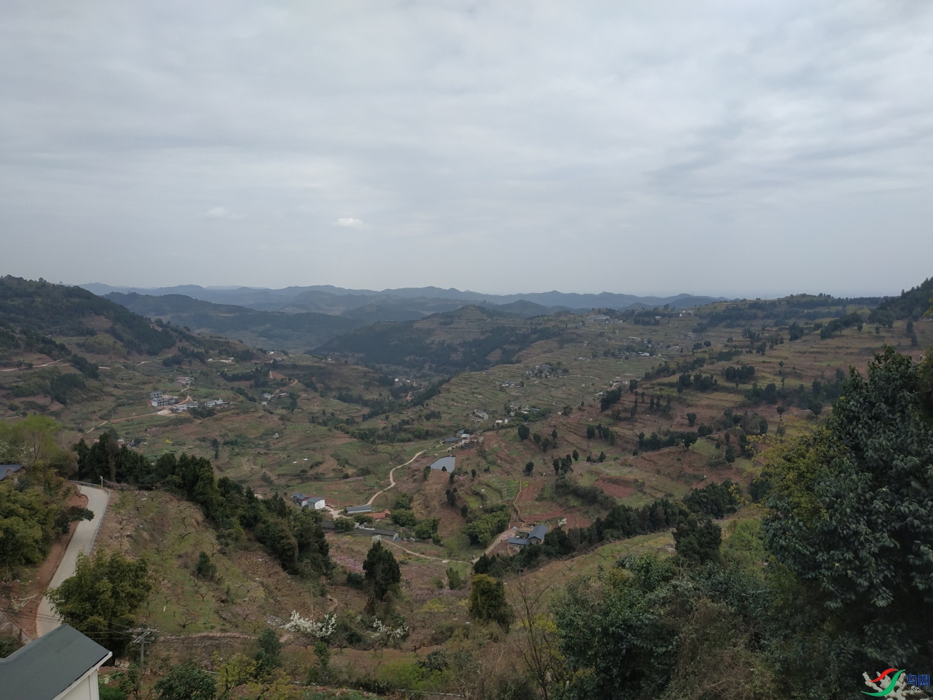 ΢��ͼƬ_20210301144532-1.JPG