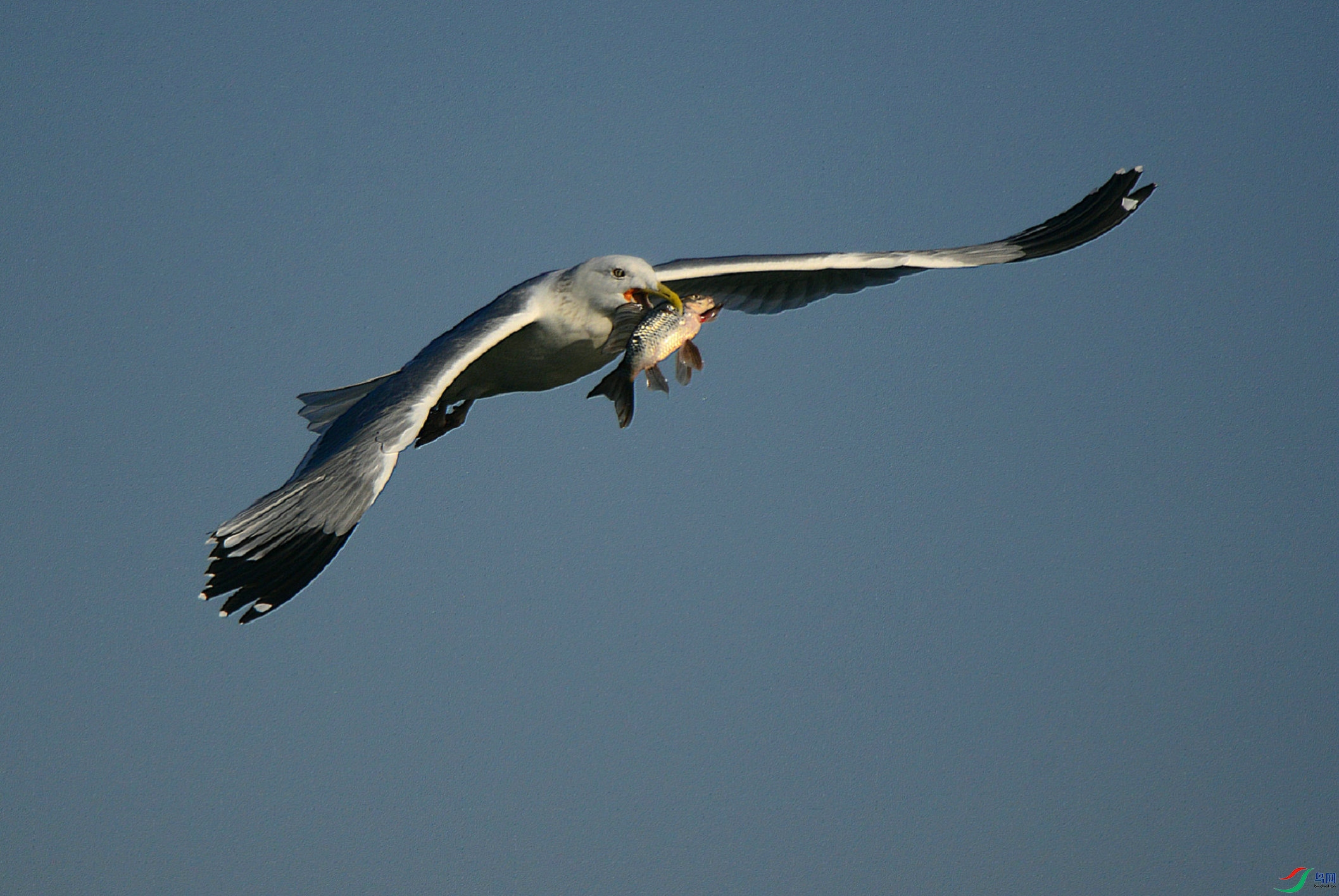 2V1A0160_���� - ����.JPG