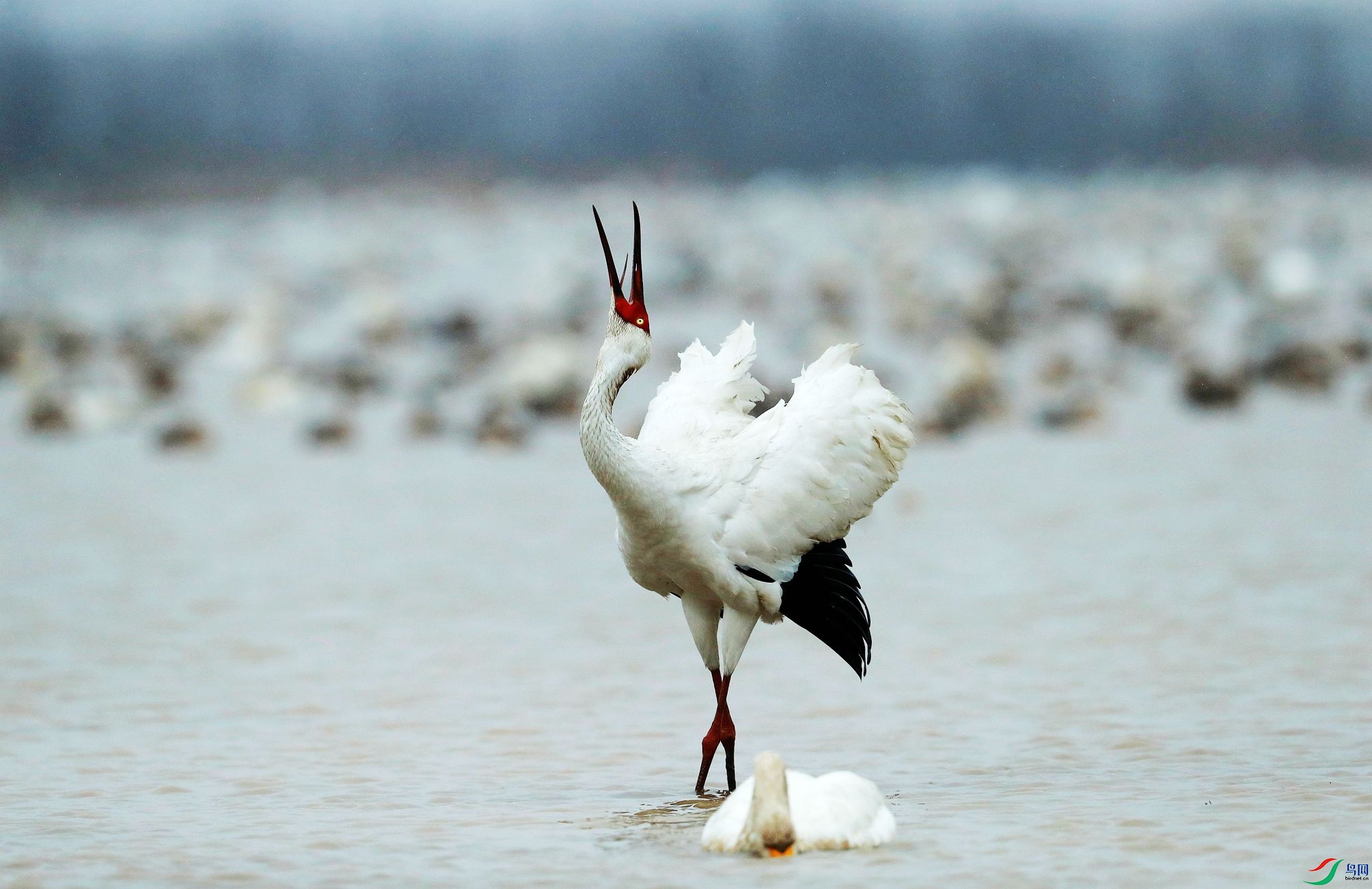 �������죨 Ͷ�壩_����.jpg