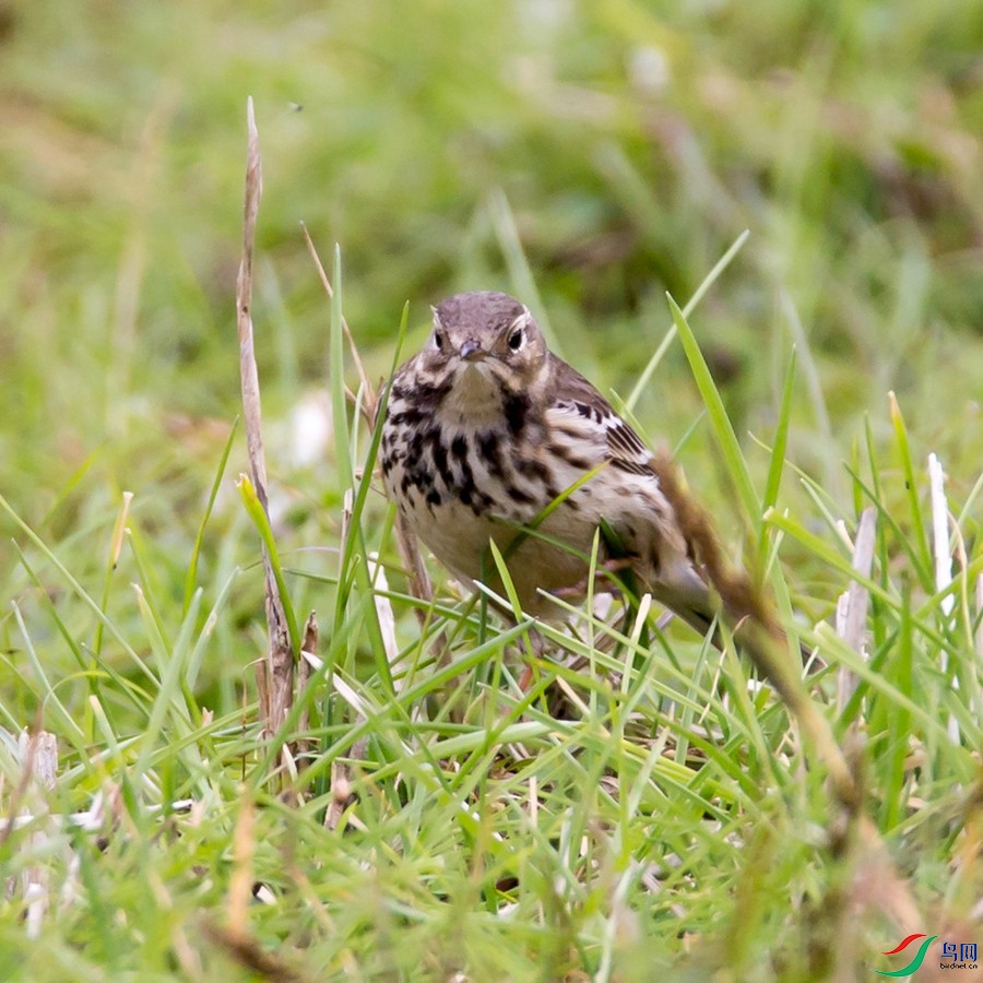 ��EOS 6D_00507��Ϊ���ܶ���-1_����.jpg