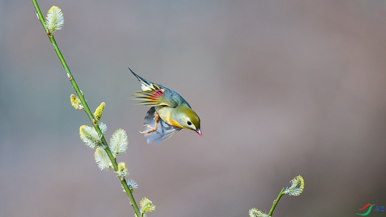 XCG_8420 - ����.jpg