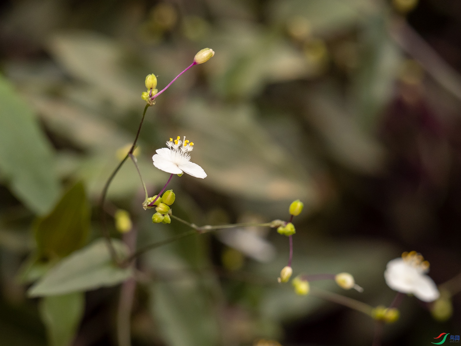 PA100319.jpg