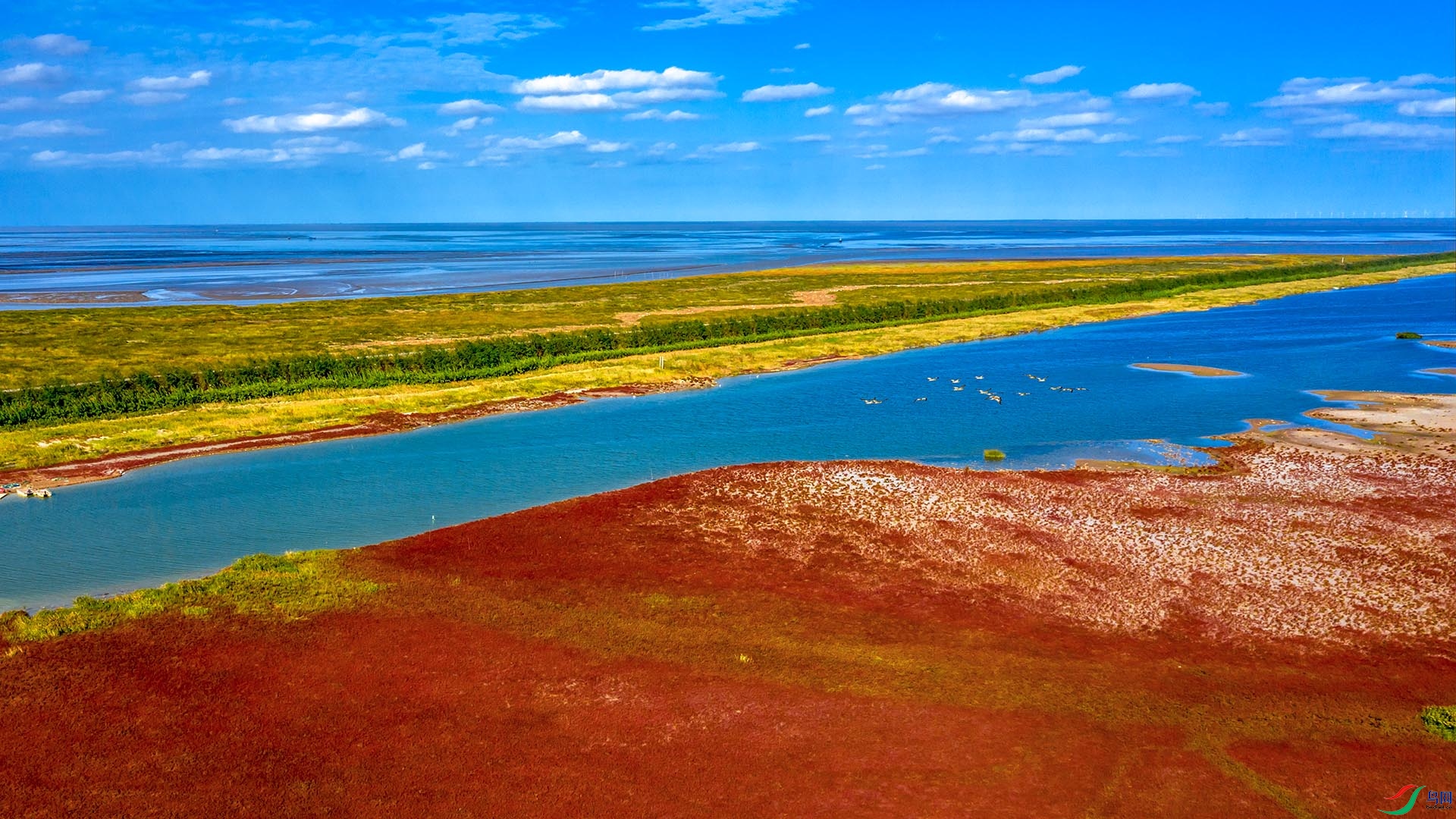 条子泥的红海滩