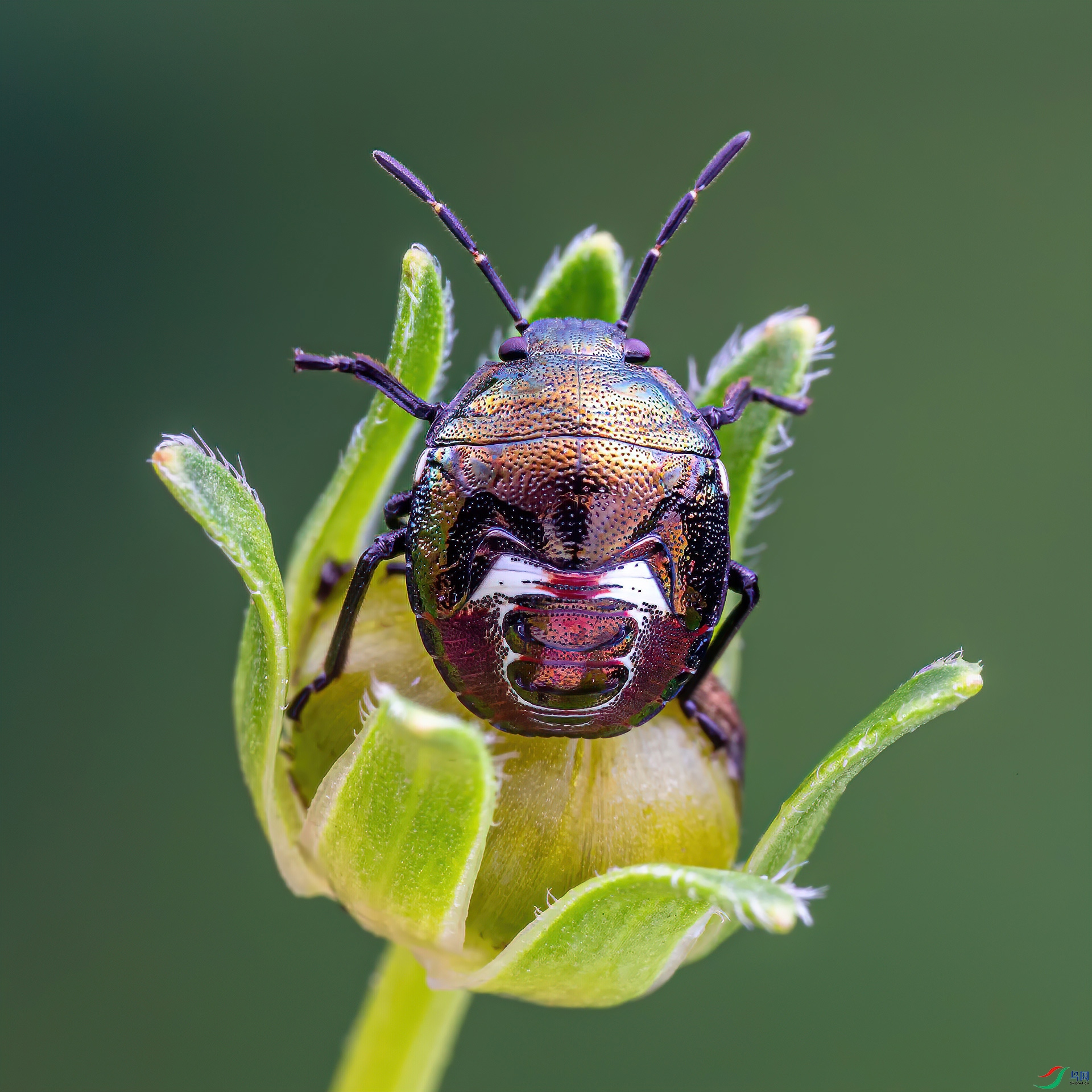 _G3A0959-1.jpg