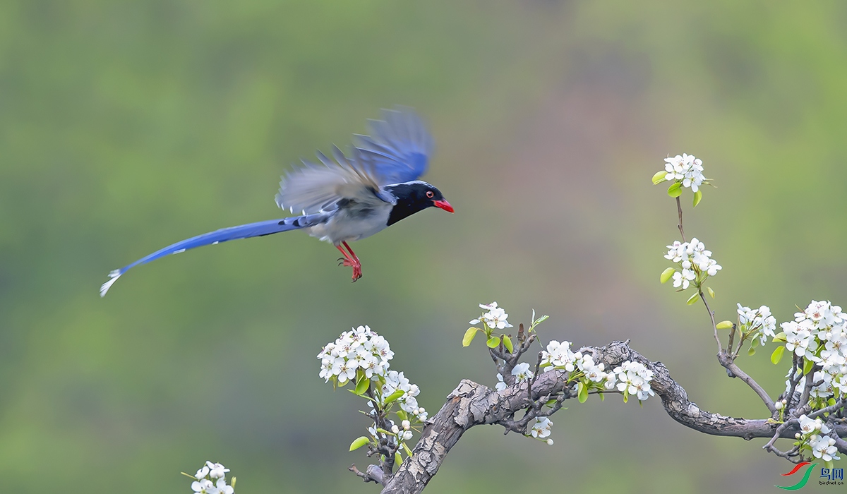 _DSC5965==1x.jpg