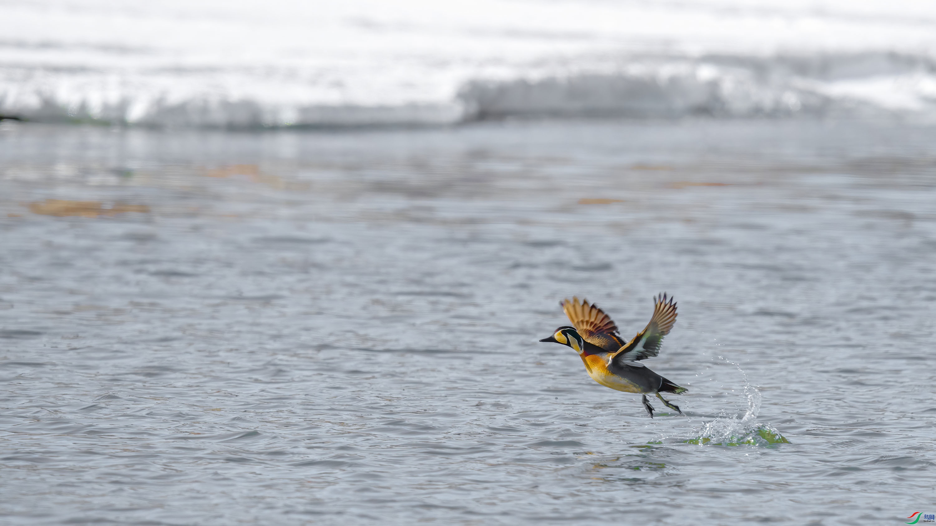 _8505408_3     ok.jpg