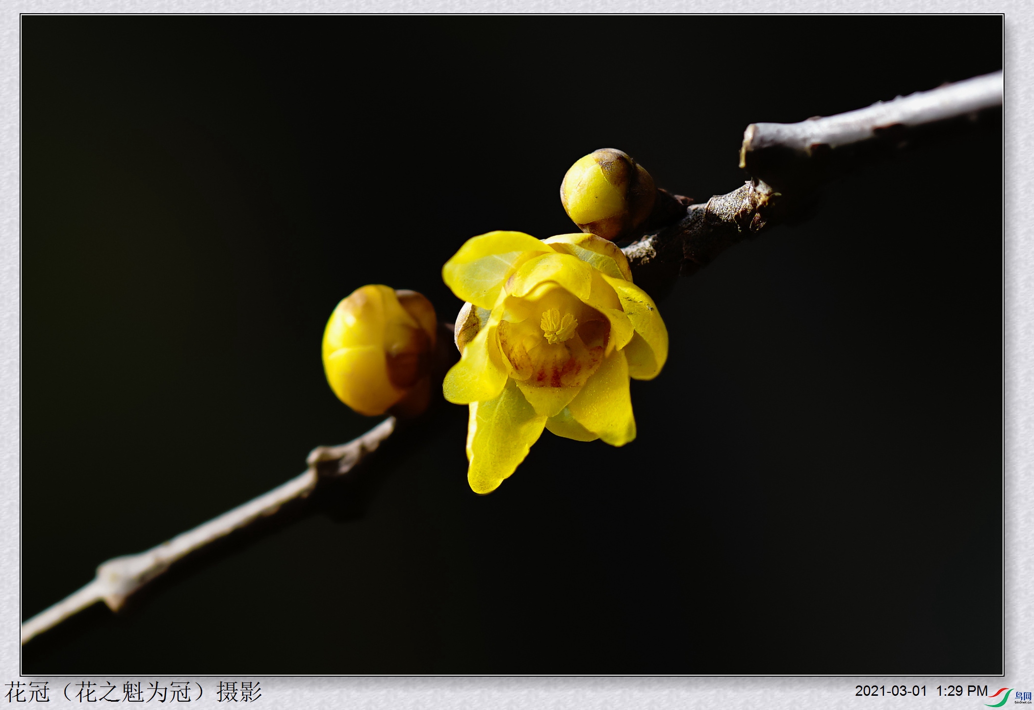 DSC03274�����źϳɣ�B-1_����.jpg