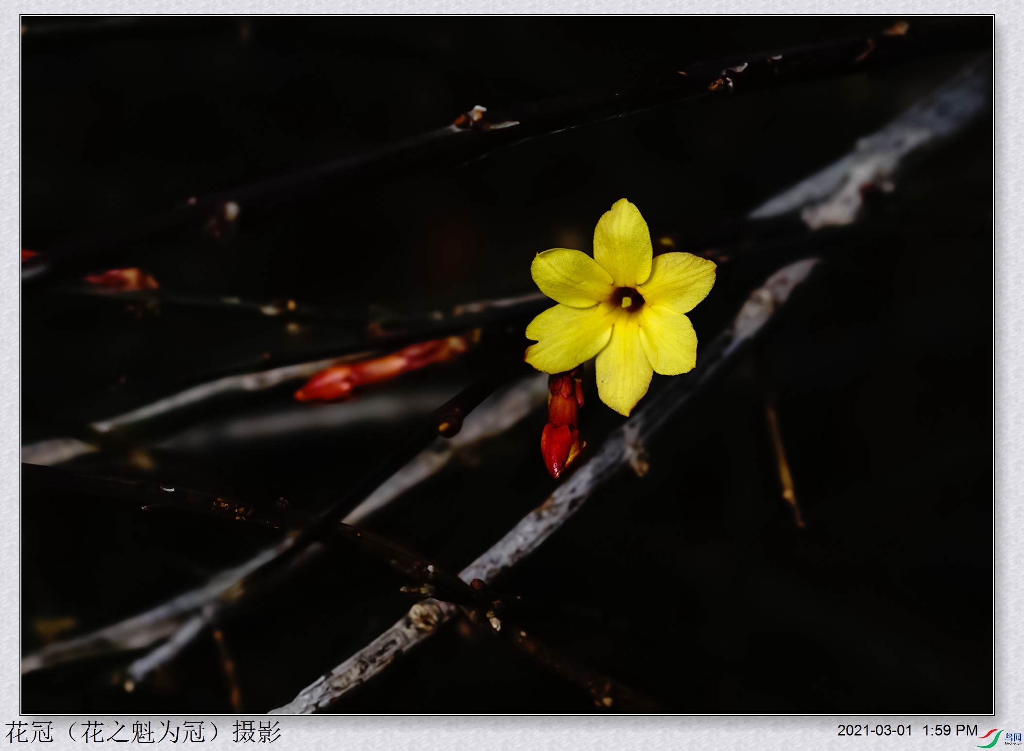 DSC03402B-1_����.jpg