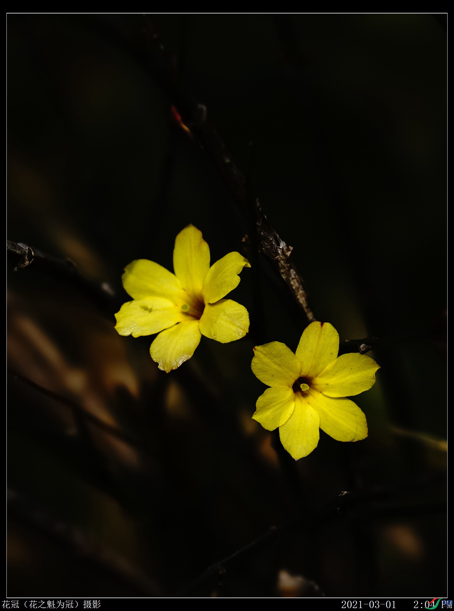 DSC03430B-1_����.jpg
