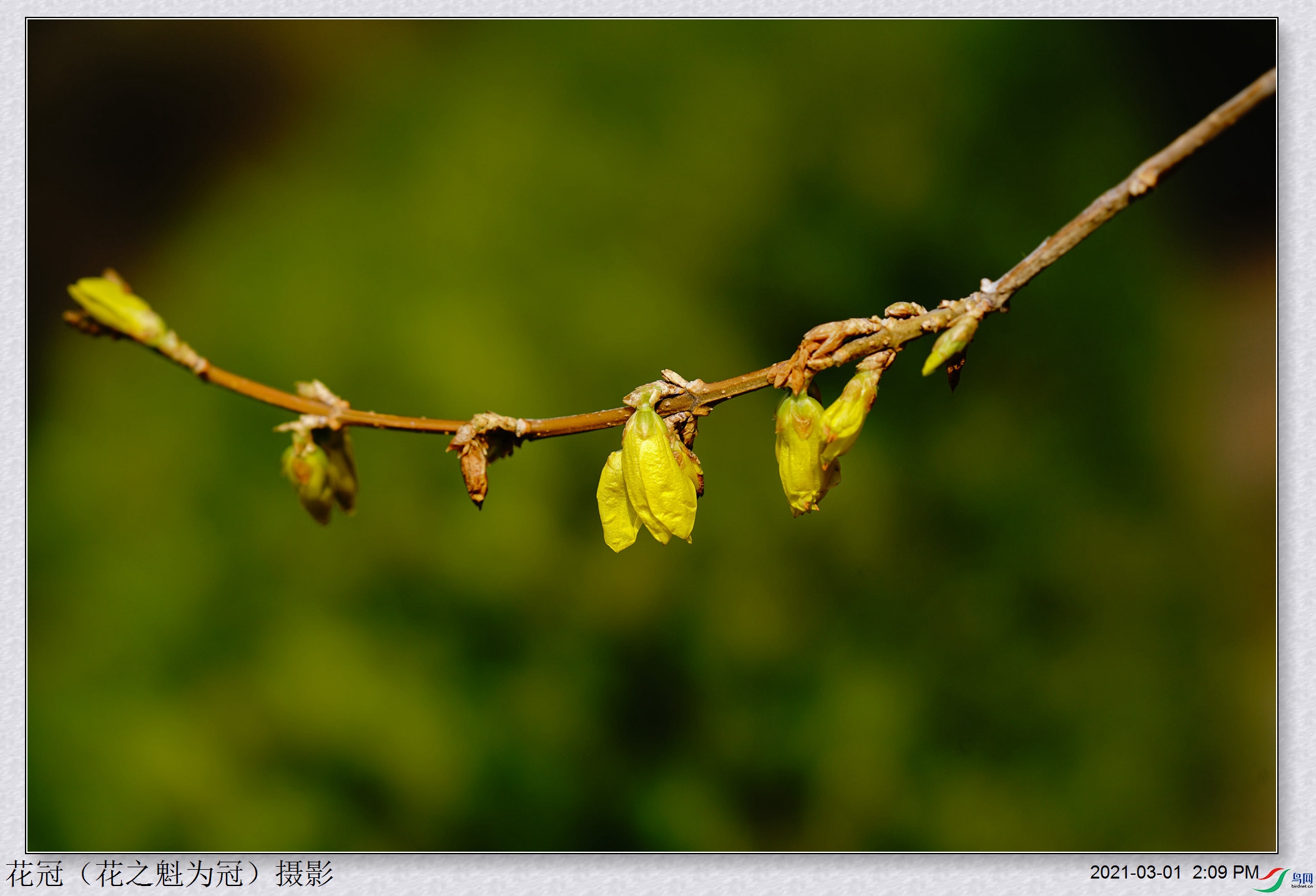 DSC03446B-1_����.jpg