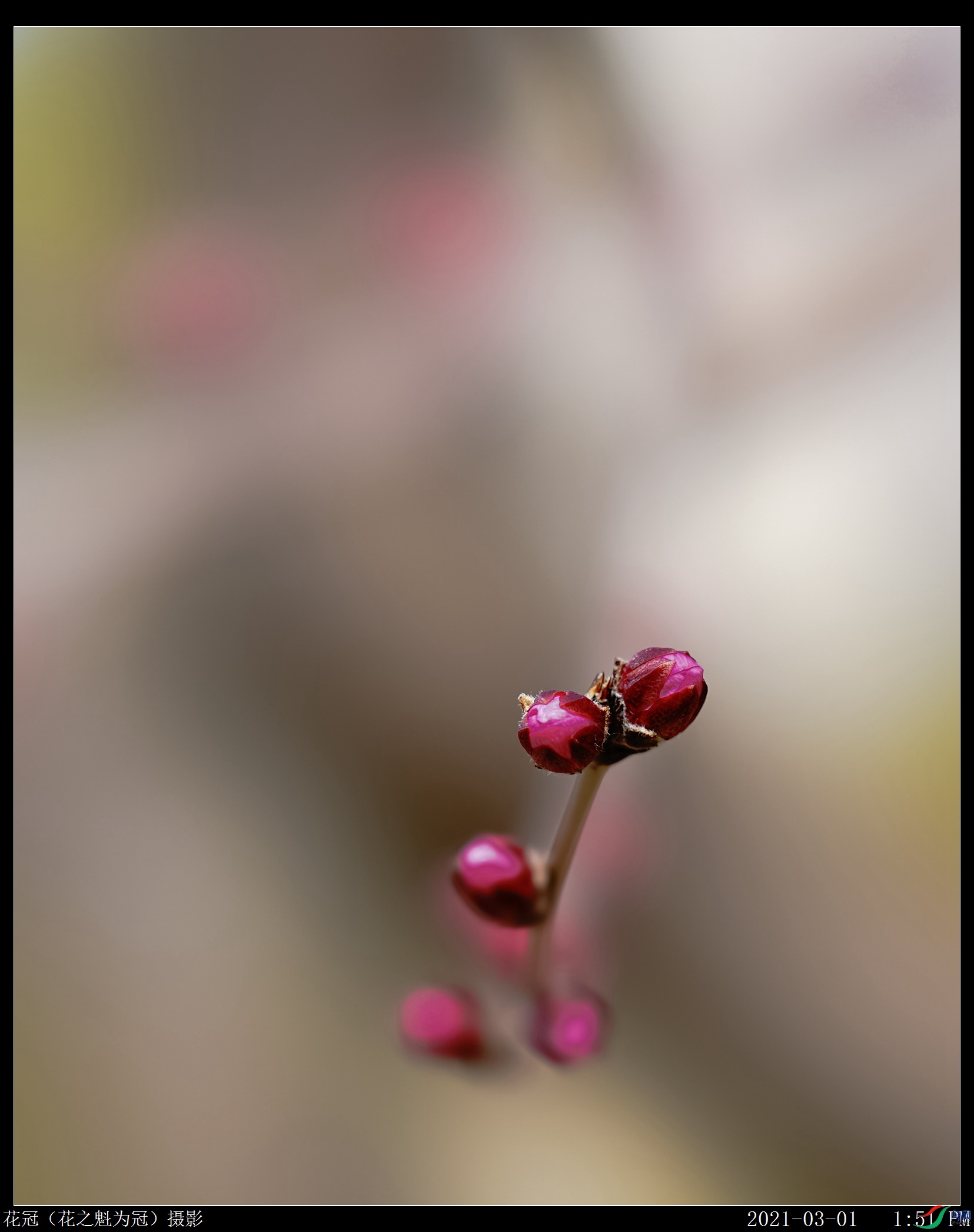 DSC03369B-1_����.jpg