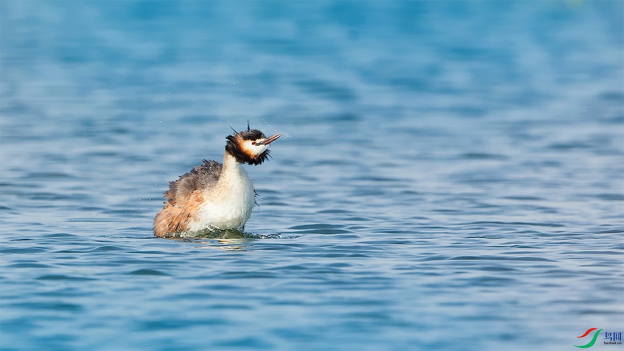 0302��  ���.jpg