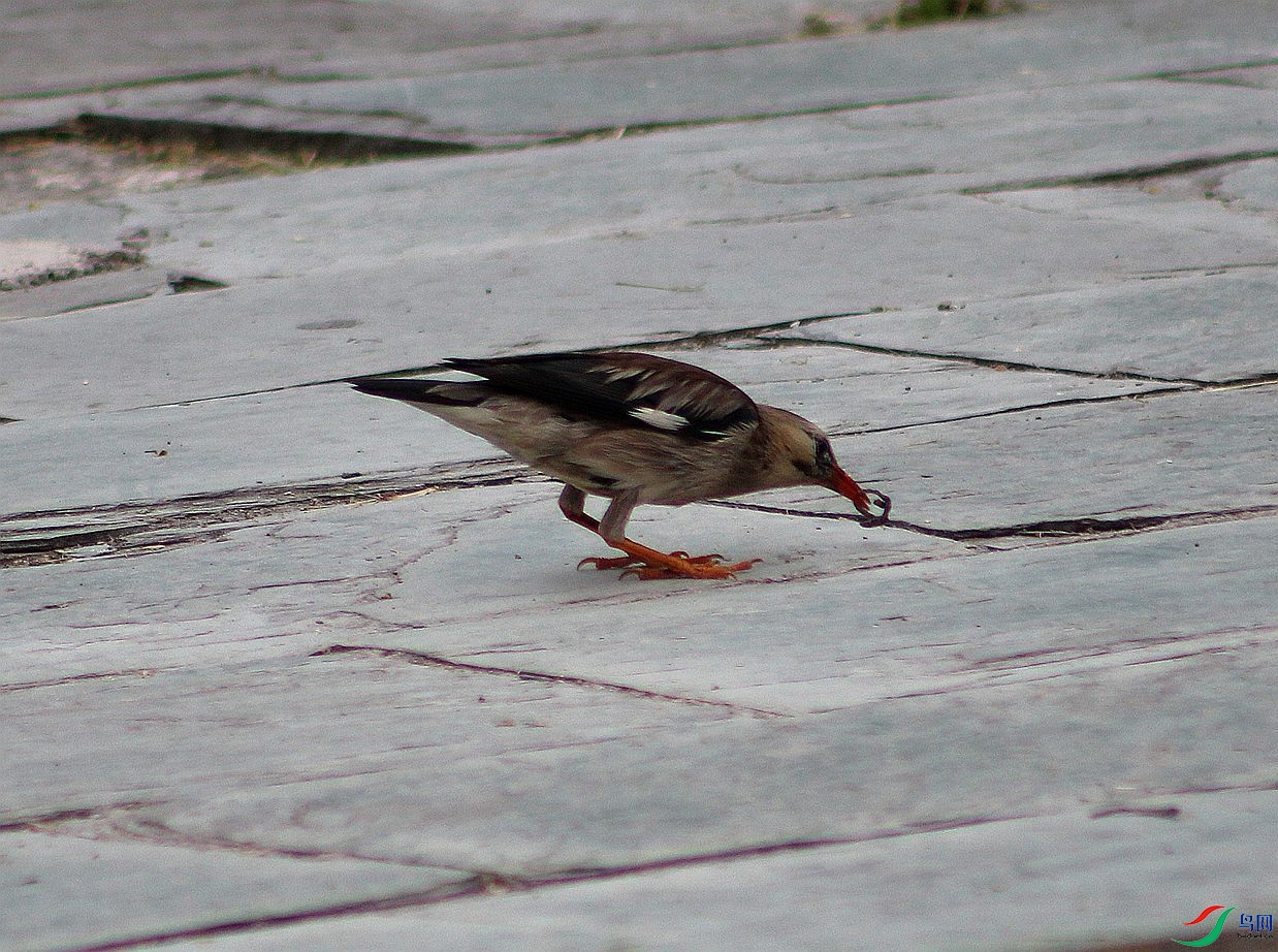 IMG_0056.JPG