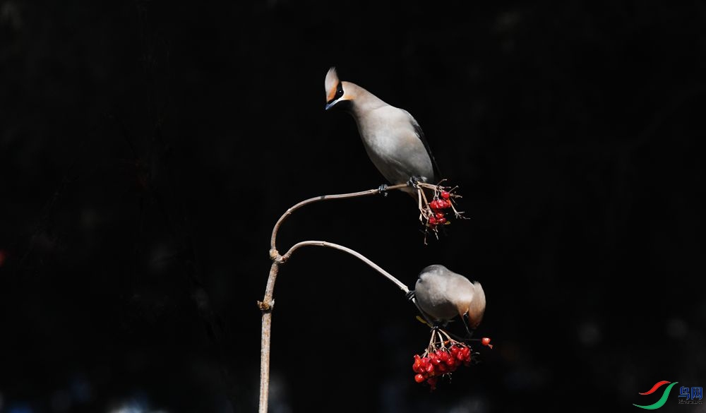 DSC_0200_����.jpg
