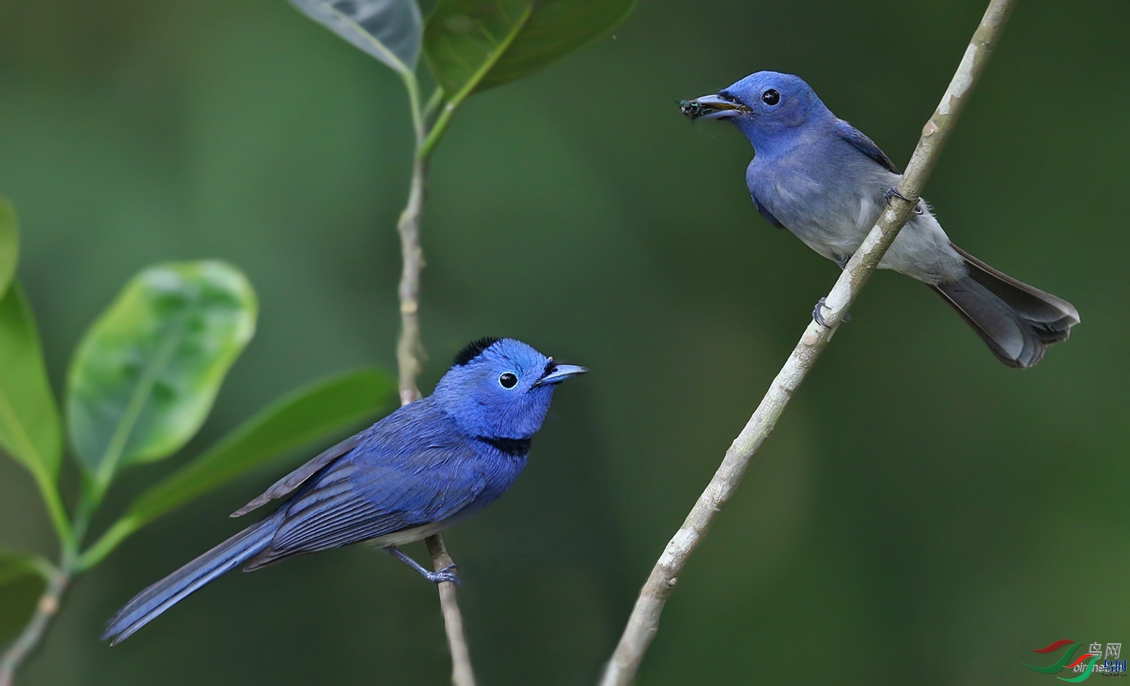 ����09  ��ʦ�����ڹ���׳��������������.jpg