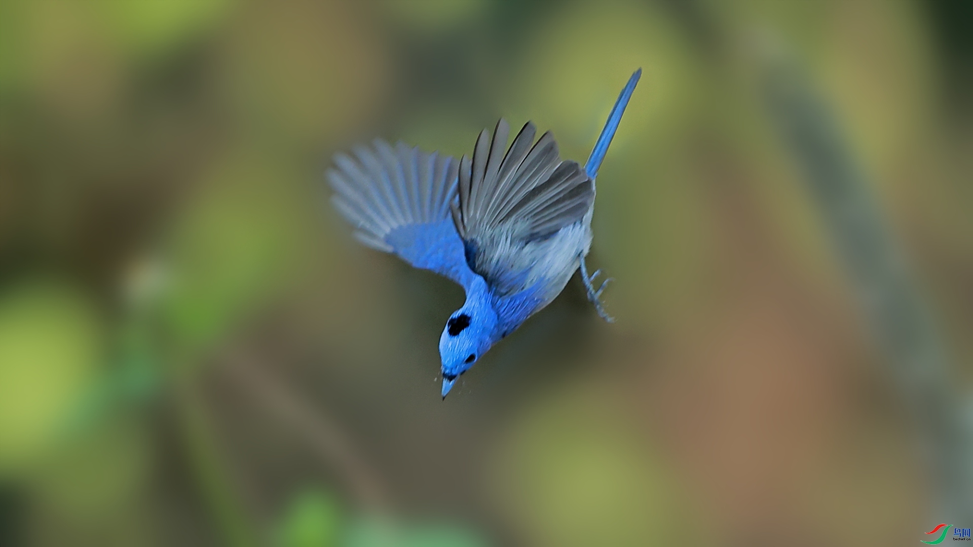 �½���ӥ  ��ʦ�����ں���ʡ������.jpg