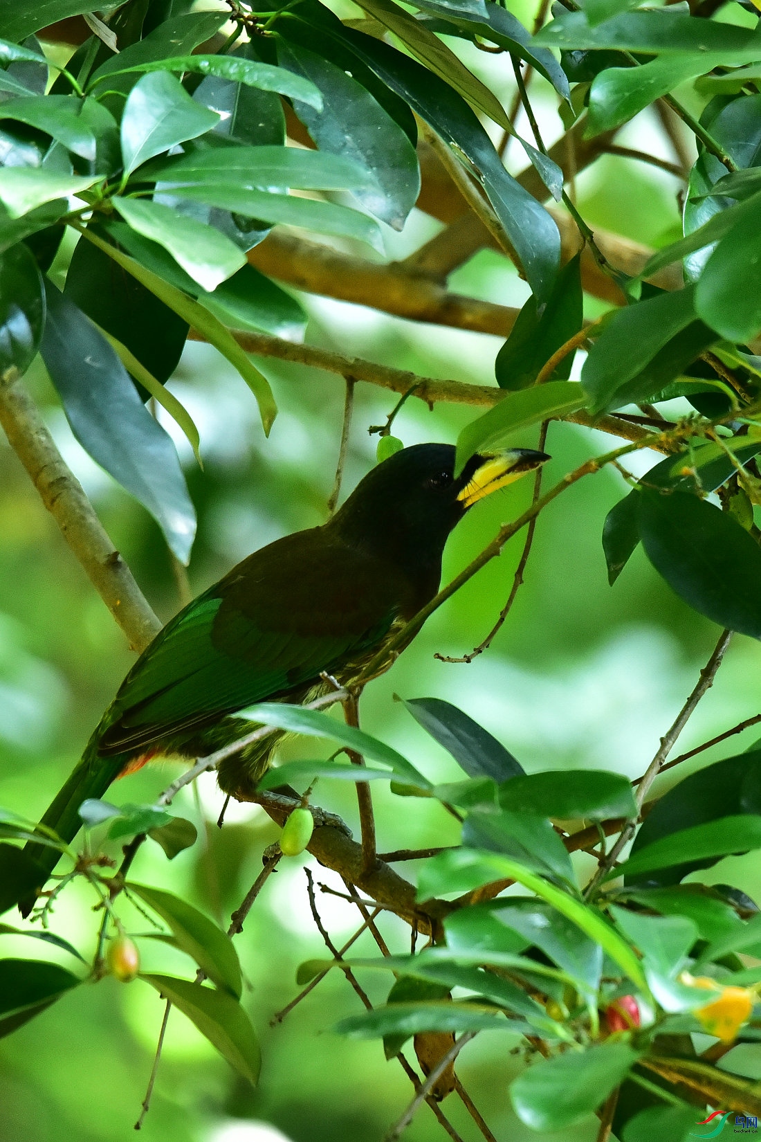 DSC_0998.JPG
