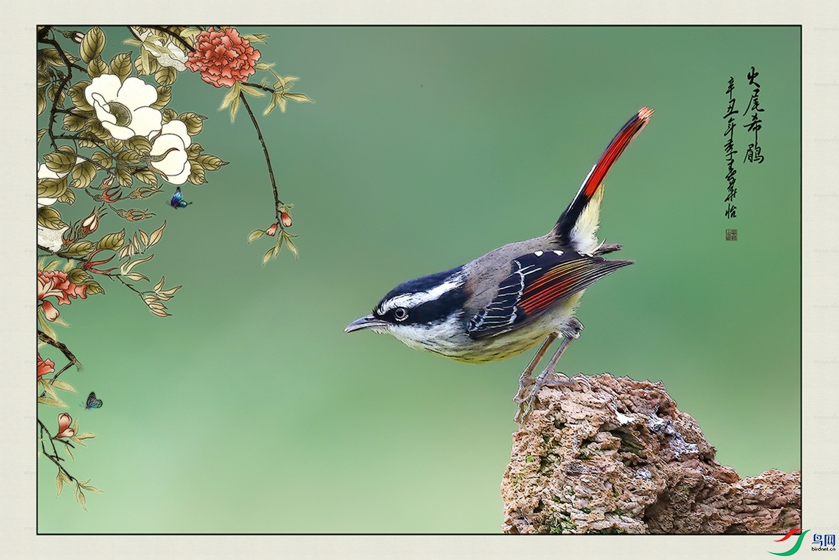 ��βϣ�� .jpg