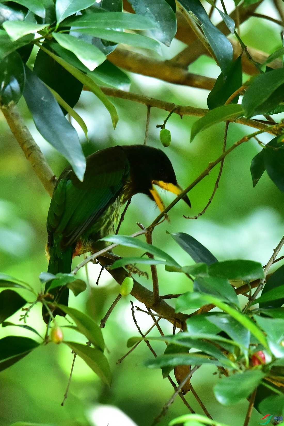 DSC_1000.JPG