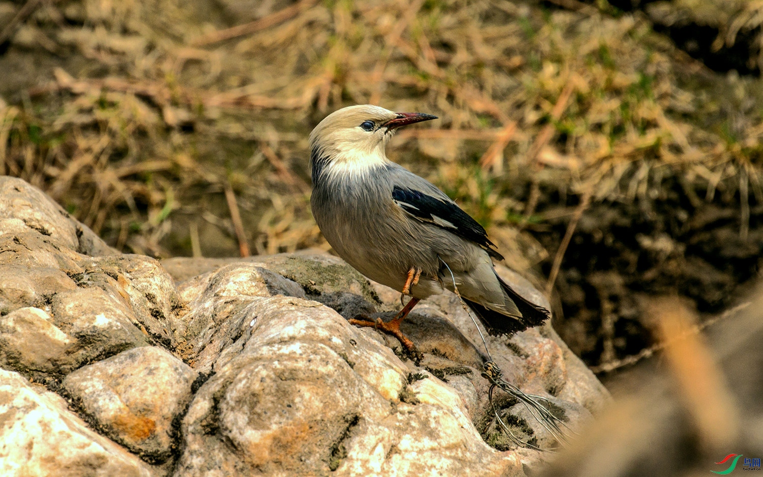 ����ļ��� (1).jpg