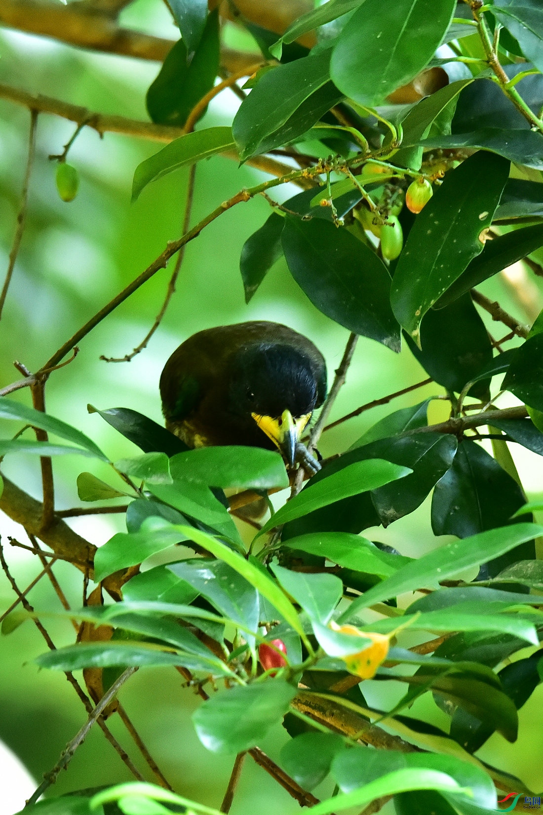 DSC_1001.JPG