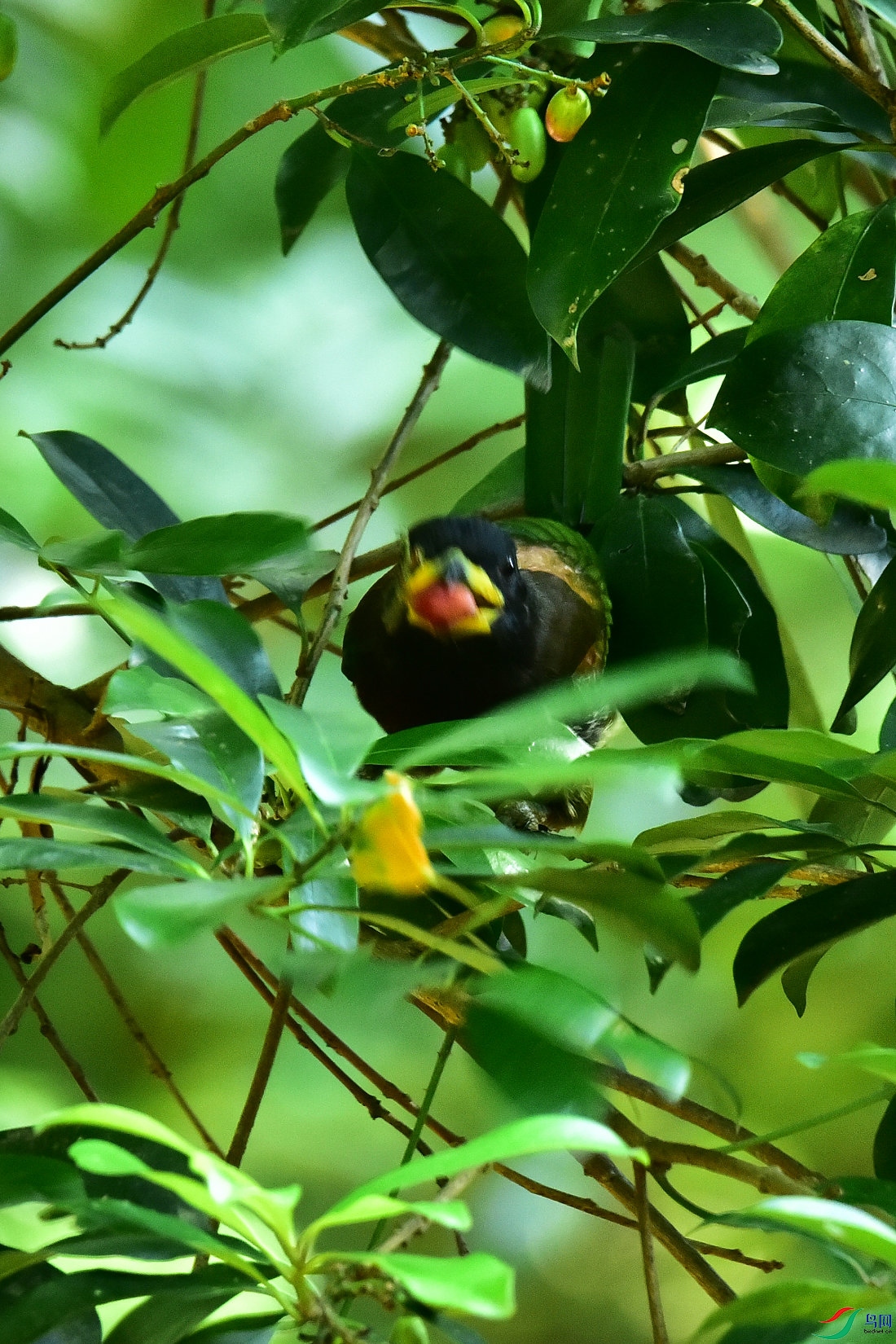 DSC_1004.JPG
