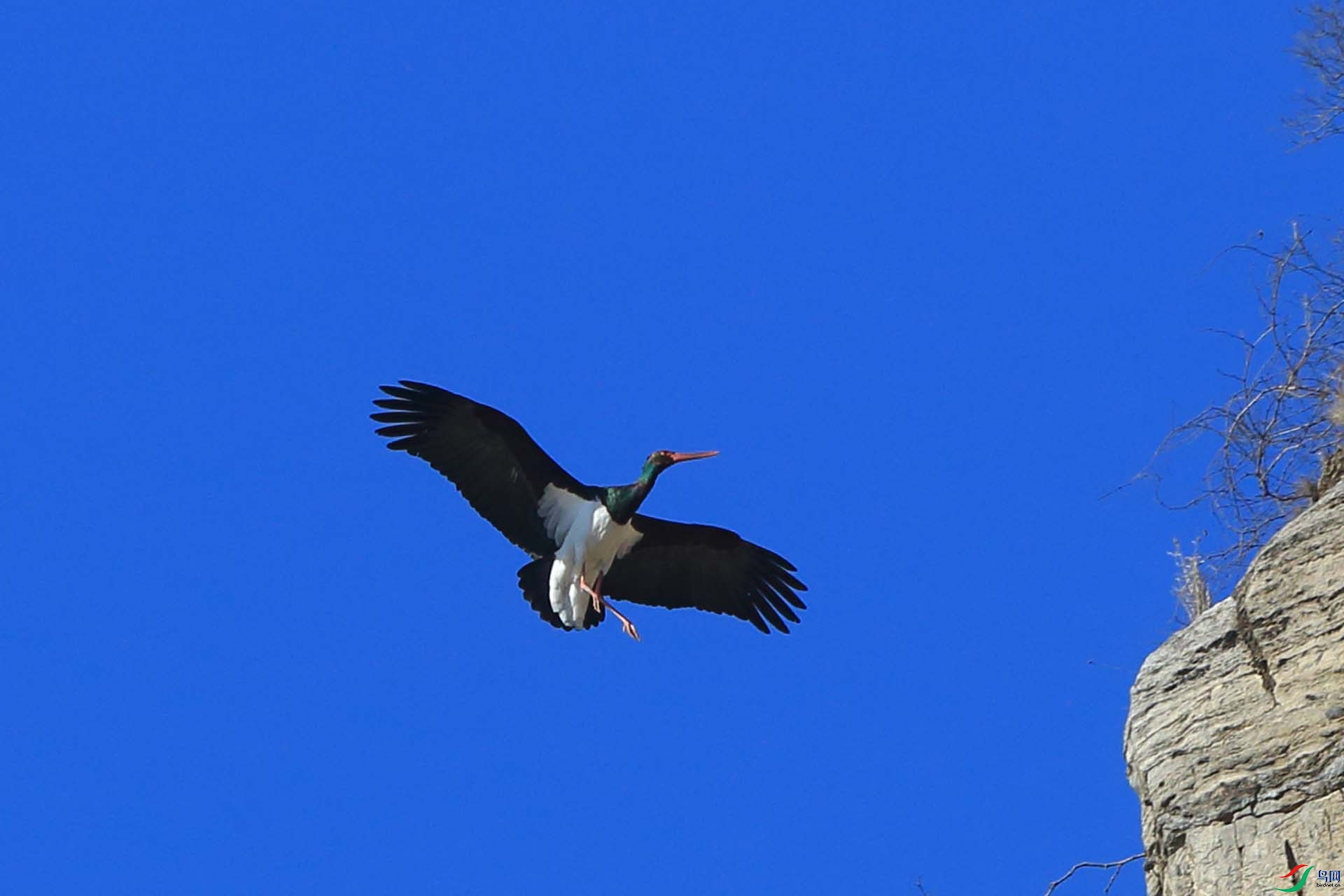 IMG_8904.JPG