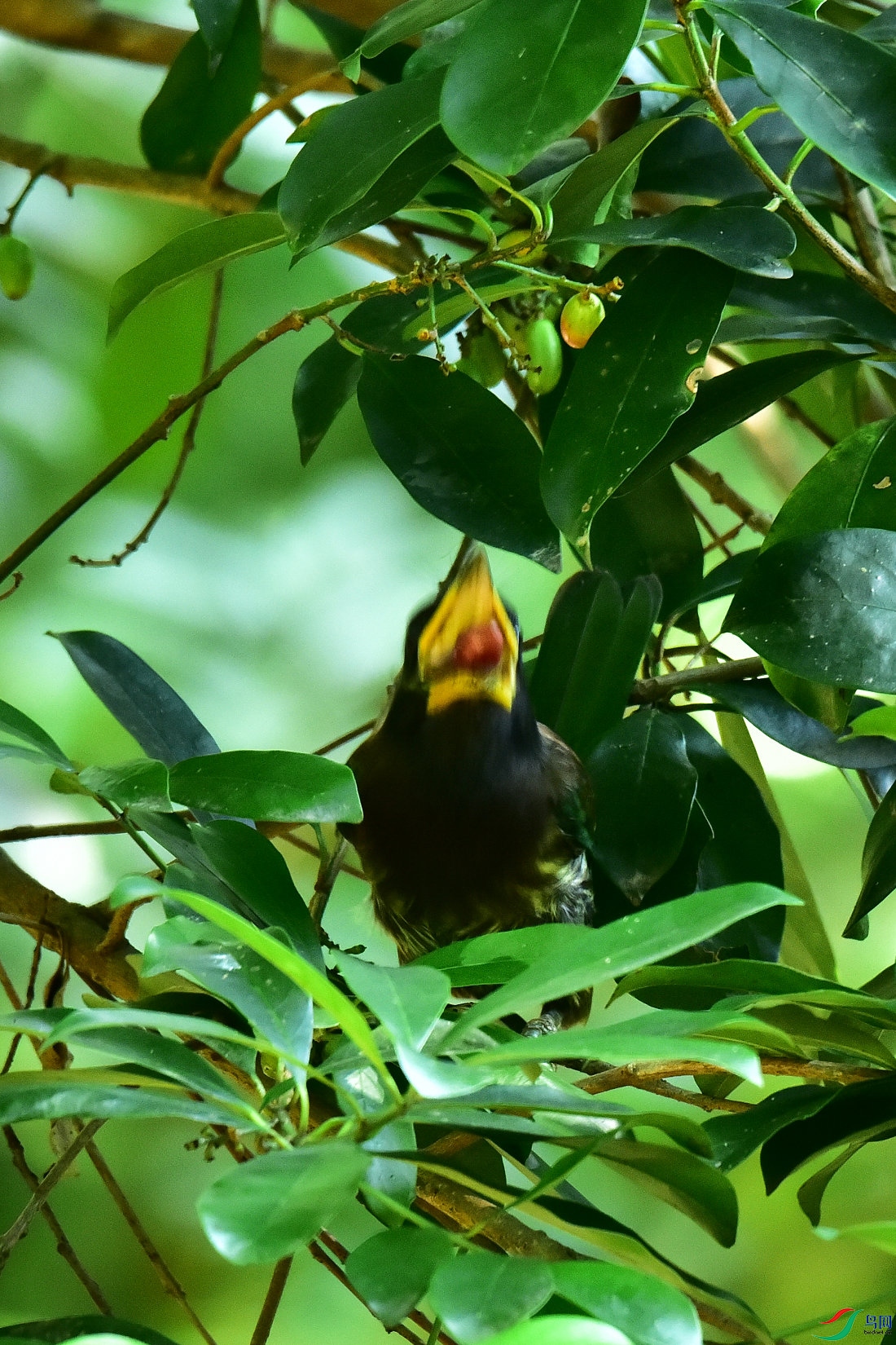 DSC_1008.JPG