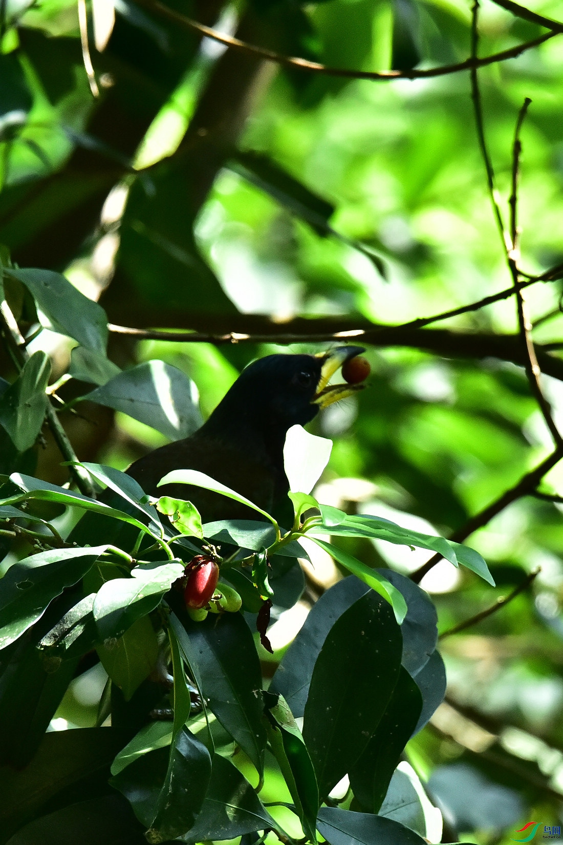 DSC_1010.JPG