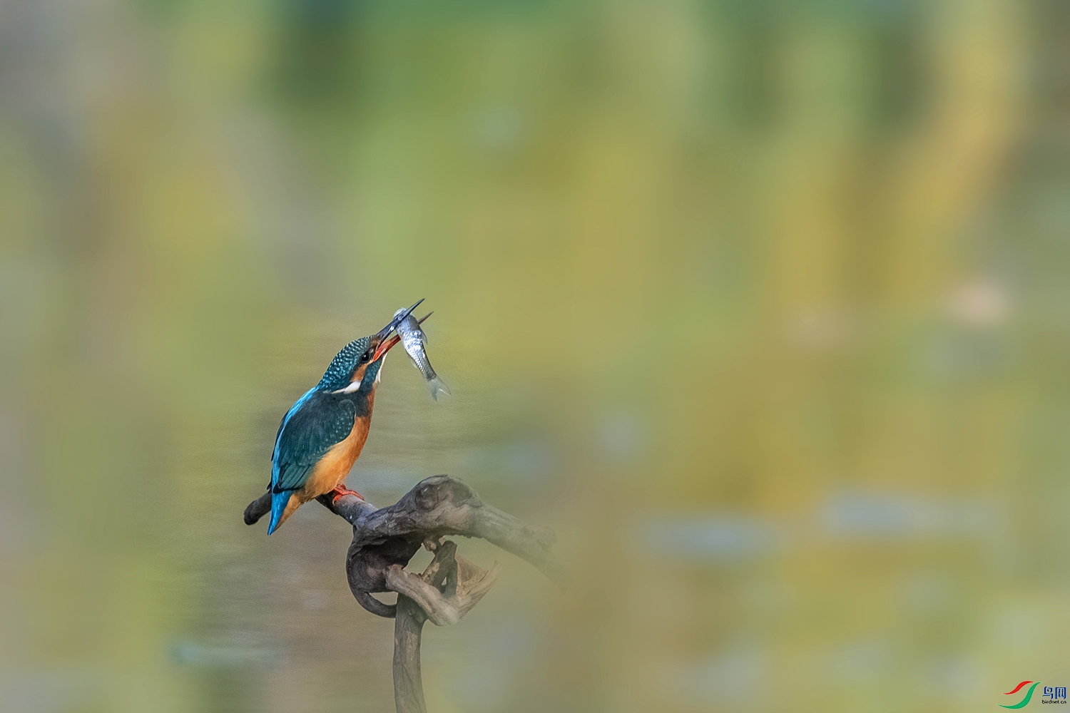 DSC_0900-2.jpg