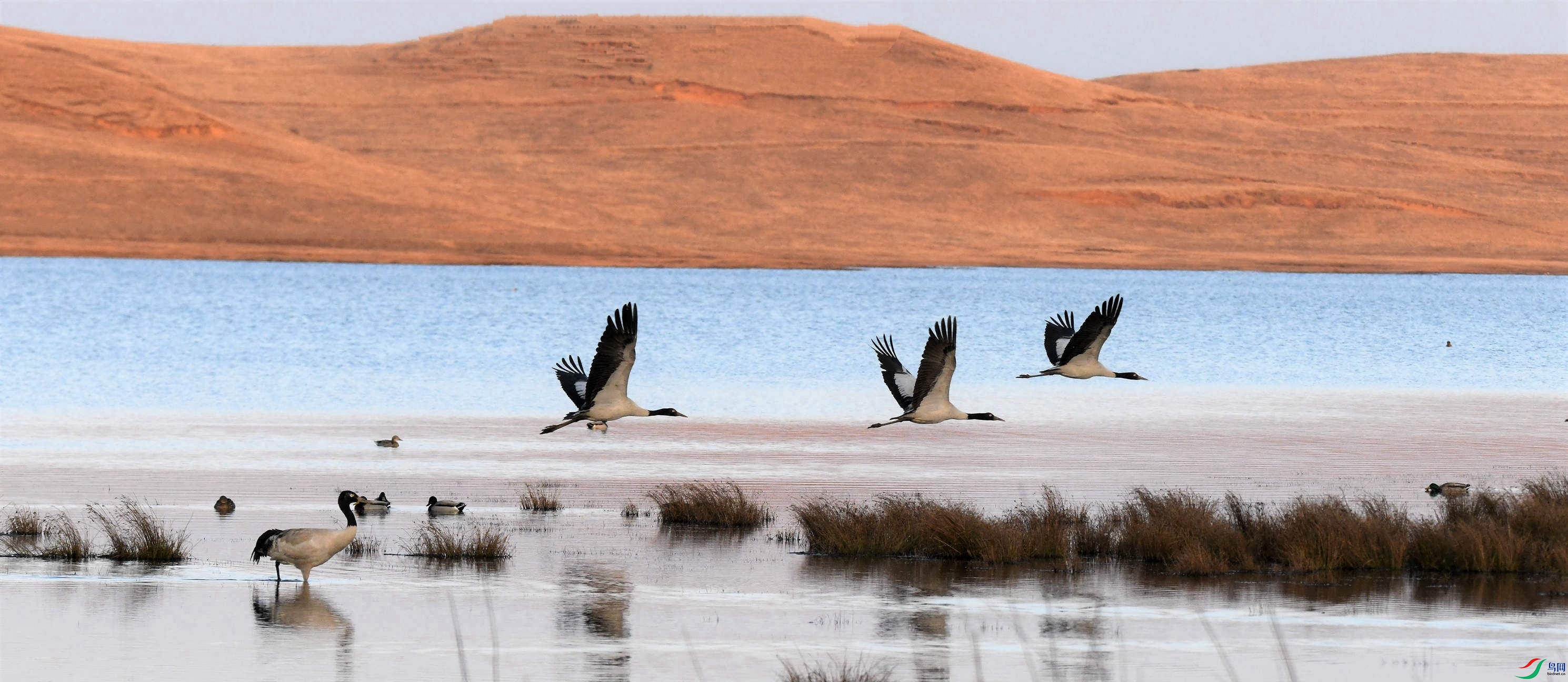 �ھ��� ʪ�طɺ�.jpg