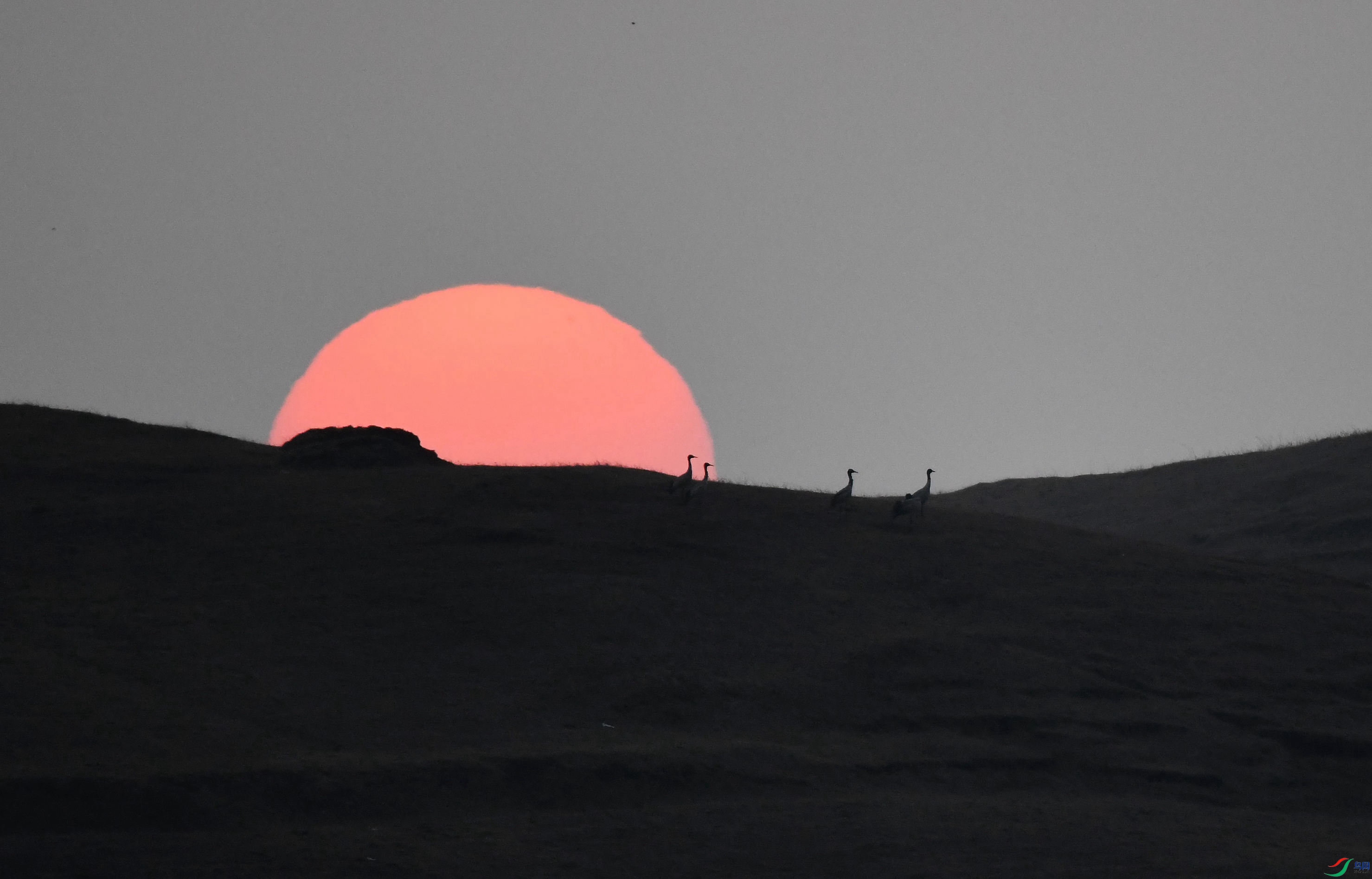 �ھ��� ������ͨ��������ɽ���� (9).JPG