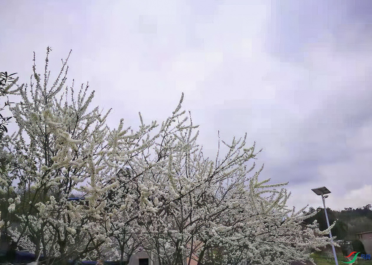 ΢��ͼƬ_20210304120739.jpg