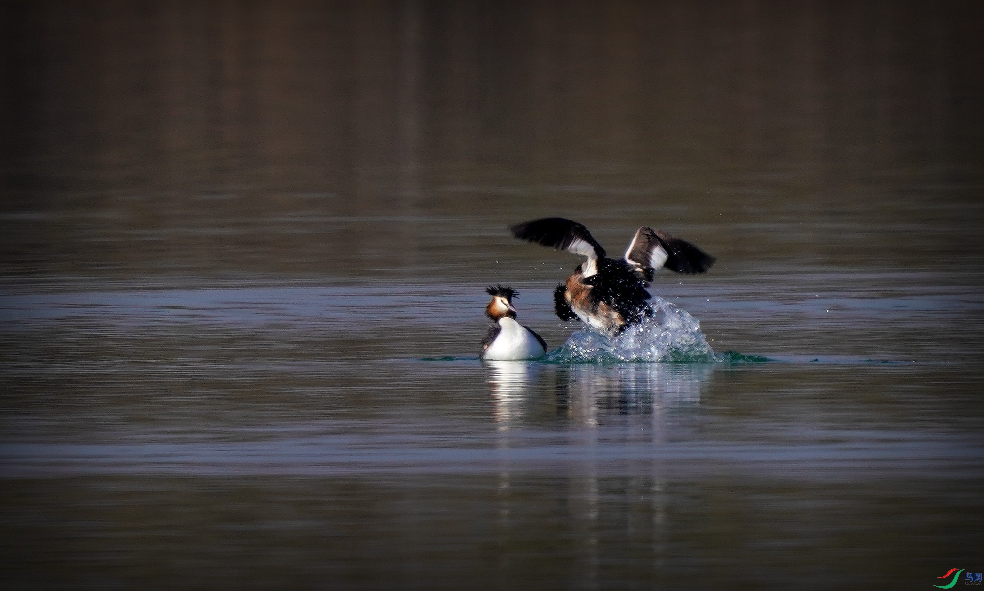 DSC04511_����  ׷ ��.jpg