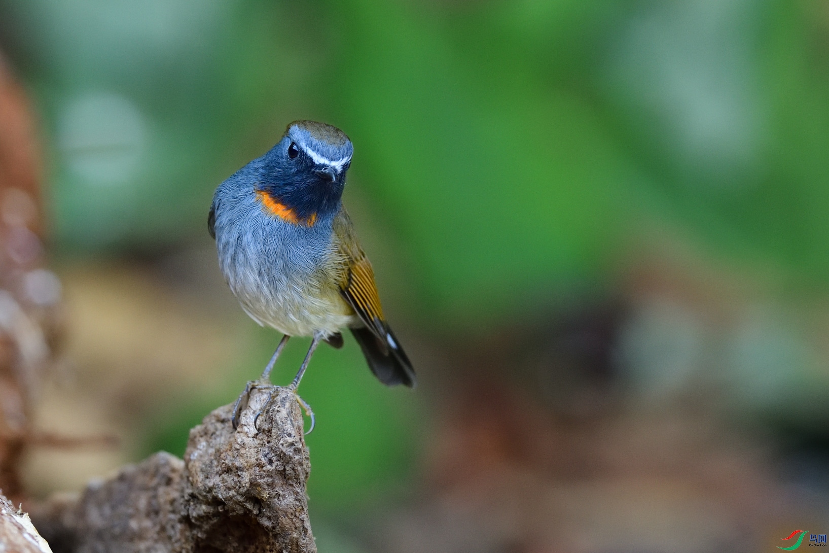 DSC_6107_00001.jpg