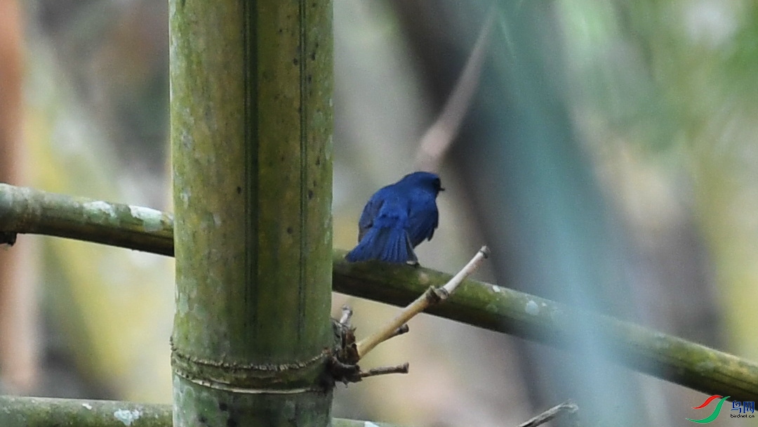 DSC_3164.JPG