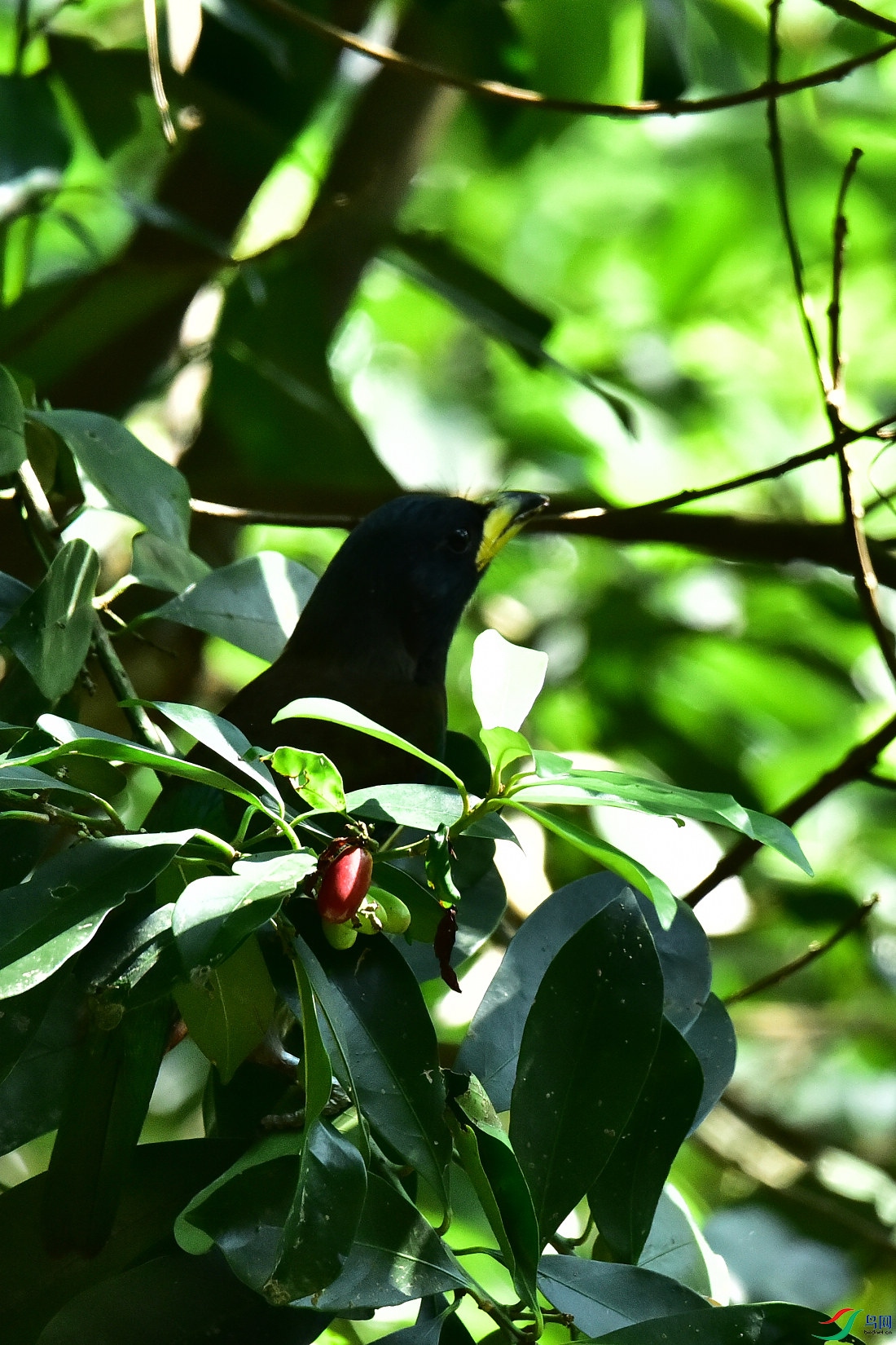 DSC_1012.JPG