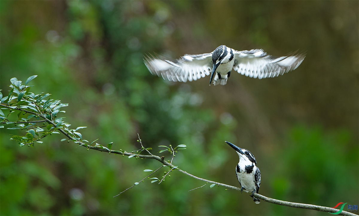 DSC_3744.jpg