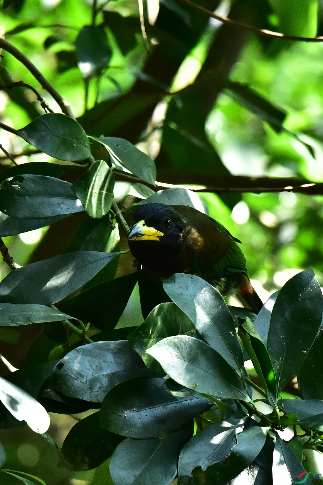 DSC_1014.JPG