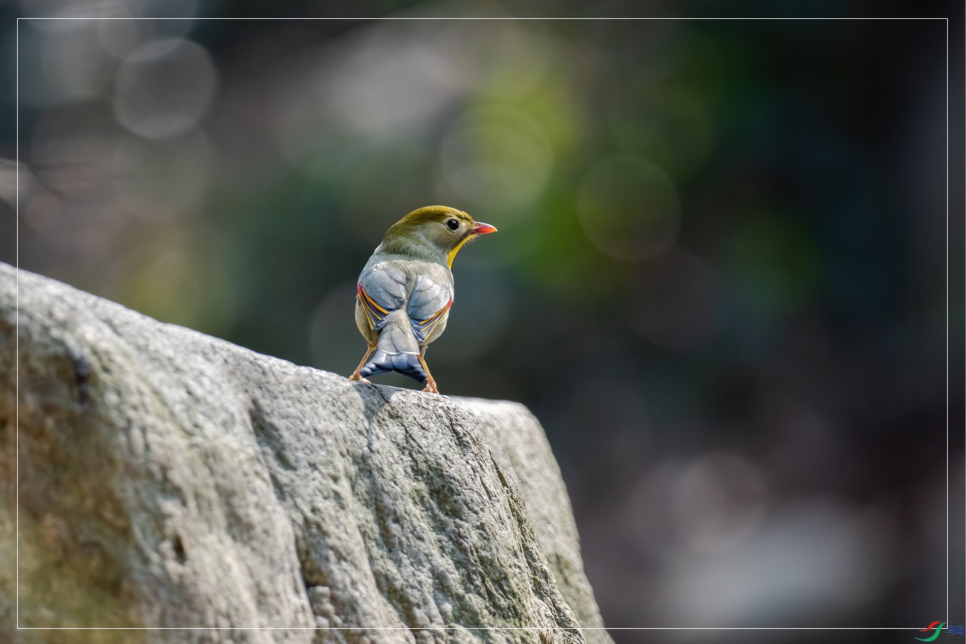DSC_4426.jpg